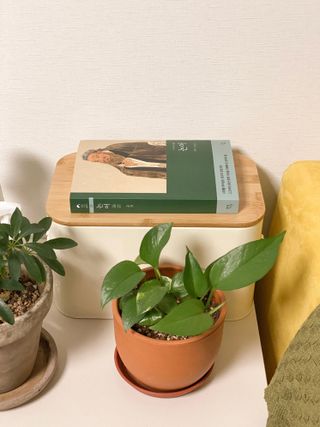 Ylime님이 올린 리뷰 사진 2