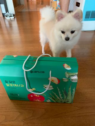 별이빛나길님이 올린 리뷰 사진 1