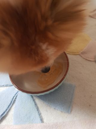 이긍정님이 올린 리뷰 사진 1