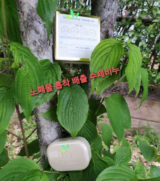 참살이님이 올린 리뷰 사진 2