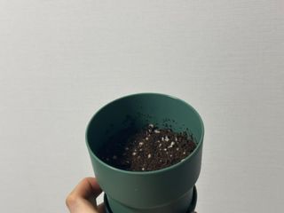 Obliviate님이 올린 리뷰 사진 1