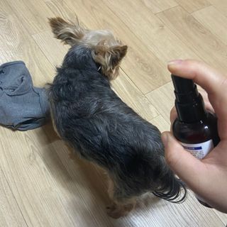 뽀삐맘님이 올린 리뷰 사진 2