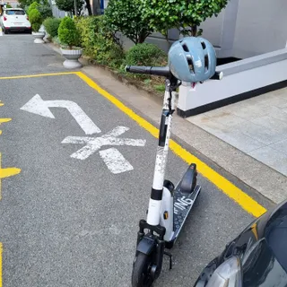 그늘이님이 올린 리뷰 사진 4