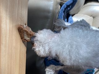진용김님이 올린 리뷰 사진 3