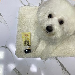 버츠비 케어플러스 릴리빙포앤노즈로션 — 5점을 준 리뷰어가 2021년 4월 올린 사용 사진