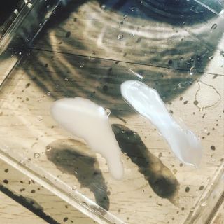 goldenseoull님이 올린 리뷰 사진 2