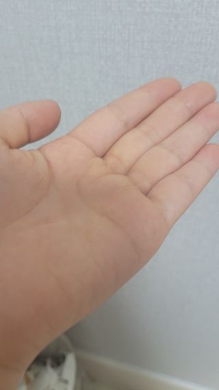 이예림님이 올린 리뷰 사진 4