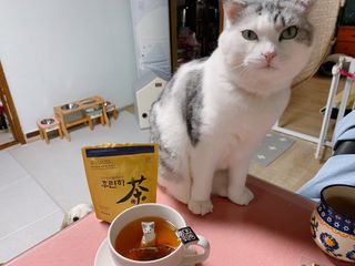 cobemom님이 올린 리뷰 사진 1