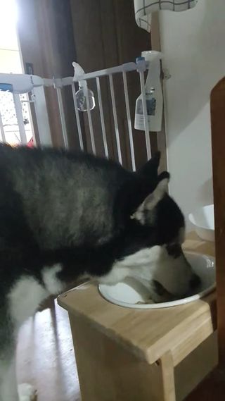 강산아엄마쭈님이 올린 리뷰 사진 1