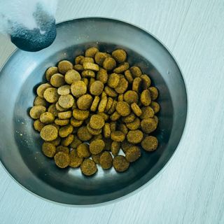 봉자맘님이 올린 리뷰 사진 4