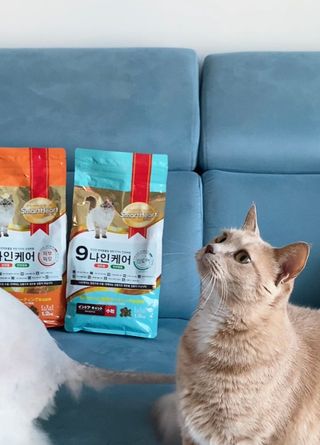 아이린지니님이 올린 리뷰 사진 2