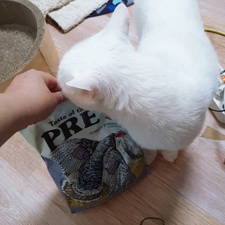 김수수님이 올린 리뷰 사진 2