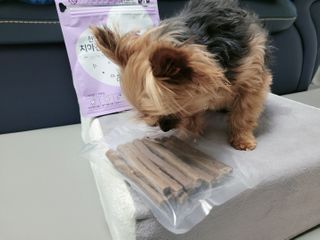 My Pet Care 천연단백질 치아건강에 개좋아 — 5점을 준 리뷰어가 2021년 2월 올린 사용 사진
