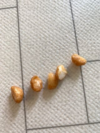 도이퉁 마카다미아 넛 90g  로얄 마카넛 오리지널 쏠트 허니 — 5점을 준 리뷰어가 2021년 9월 올린 사용 사진