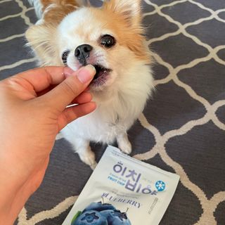 쏭블리님이 올린 리뷰 사진 1
