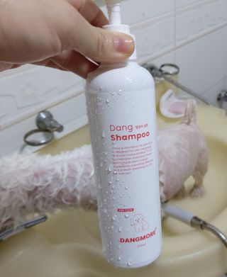 [댕모어 샴푸 2종] 댕샴푸 / 퍼피샴푸  2종 세트 (300ml) — 5점을 준 리뷰어가 2023년 10월 올린 사용 사진