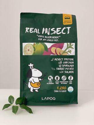 [푸디웜] 라포그  리얼인섹트 웨이트밸런스 저알러지 강아지 사료  1.2KG — 5점을 준 리뷰어가 2022년 7월 올린 사용 사진