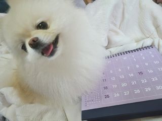 유화님이 올린 리뷰 사진 1