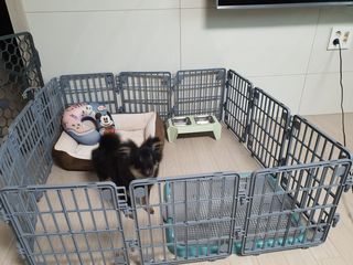 뚜뚜님이 올린 리뷰 사진 2