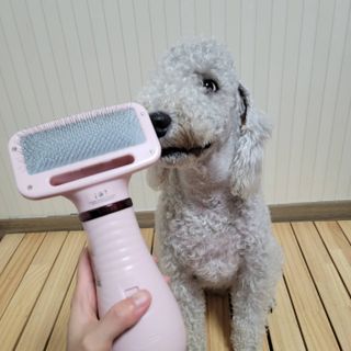 lemoniee님이 올린 리뷰 사진 1