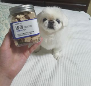 이승연님이 올린 리뷰 사진 1
