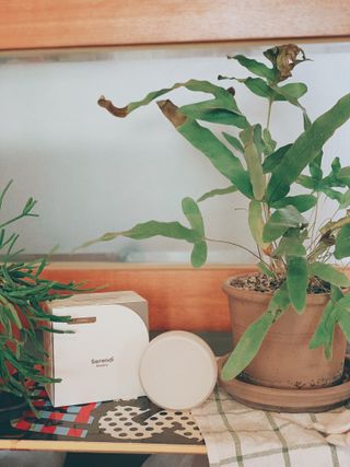 말라님이 올린 리뷰 사진 1