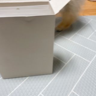 삐약삐삐약님이 올린 리뷰 사진 1