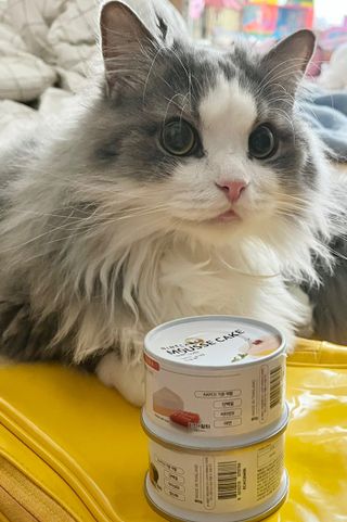 suu님이 올린 리뷰 사진 1