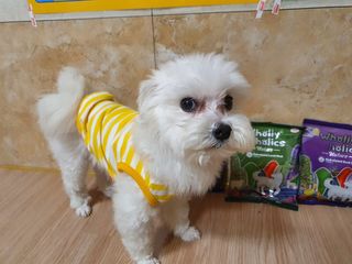 미민님이 올린 리뷰 사진 2