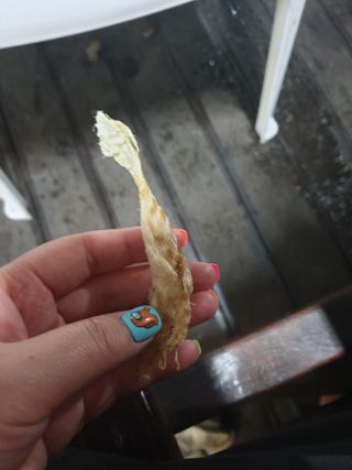 [오늘바스켓] 용대리 손질하늘태 130g — 5점을 준 리뷰어가 2021년 6월 올린 사용 사진