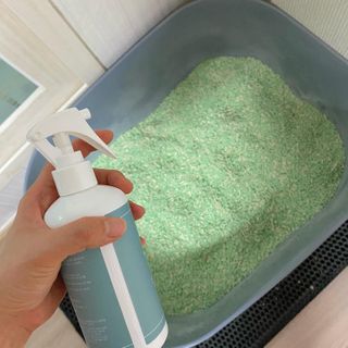 jeongee님이 올린 리뷰 사진 4