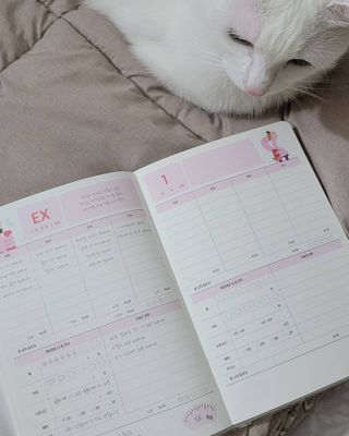 대박이님이 올린 리뷰 사진 3