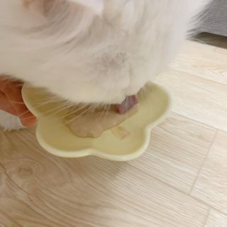 코코몰리 고양이 구강• 헤어볼 데일리 /신장• 요로 데일리 — 5점을 준 리뷰어가 2021년 1월 올린 사용 사진