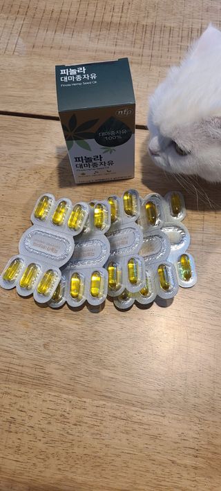 논지님이 올린 리뷰 사진 1