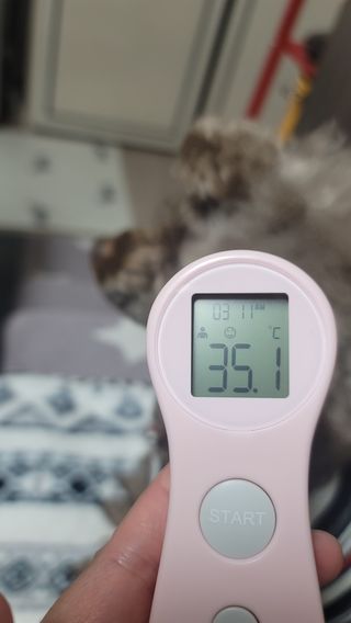 나초단맘님이 올린 리뷰 사진 4