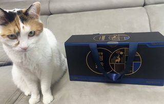 광동생활건강 [광동] 바르게 만든 녹용, 광동정녹청 — 5점을 준 리뷰어가 2021년 11월 올린 사용 사진
