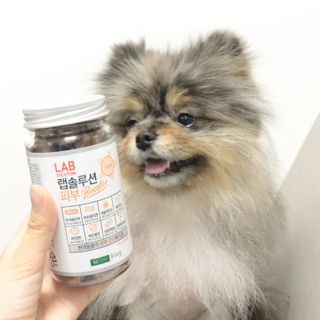 랩솔루션 강아지 영양제 3종 중 택 1 — 5점을 준 리뷰어가 2022년 5월 올린 사용 사진