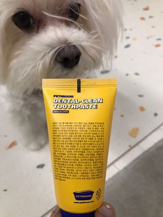Pethroom 페스룸 PETHROOM DENTAL CARE SET 페스룸 덴탈 케어 세트 / 덴탈 클린 칫솔 + 덴탈 클린 치약 — 5점을 준 리뷰어가 2021년 1월 올린 사용 사진