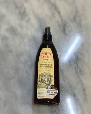 비베숑님이 올린 리뷰 사진 2
