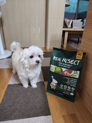 [푸디웜] 라포그  리얼인섹트 웨이트밸런스 저알러지 강아지 사료  1.2KG — 4점을 준 리뷰어가 2022년 7월 올린 사용 사진