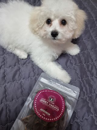 동동서니님이 올린 리뷰 사진 1
