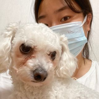 건강누리인터내셔날 (마스크 특집) 7DAYS 컬러마스크 (컬러7매)+ KMC 프리미엄 덴탈마스크(50매) — 5점을 준 리뷰어가 2022년 7월 올린 사용 사진