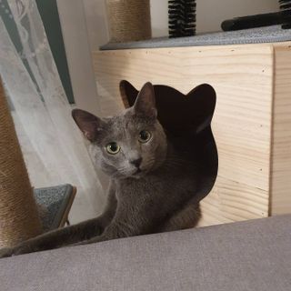 우주맘님이 올린 리뷰 사진 4