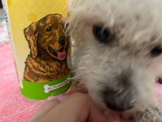 co님이 올린 리뷰 사진 1
