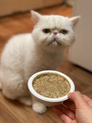 김푸딩님님이 올린 리뷰 사진 2