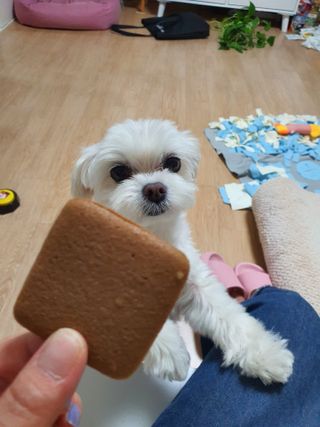 뽀오오옹님이 올린 리뷰 사진 2