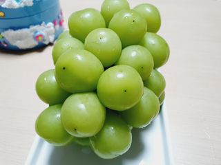 프리미엄 수출용 엘로아시스 샤인머스켓 특등품 1.5kg 2송이 — 5점을 준 리뷰어가 2021년 11월 올린 사용 사진