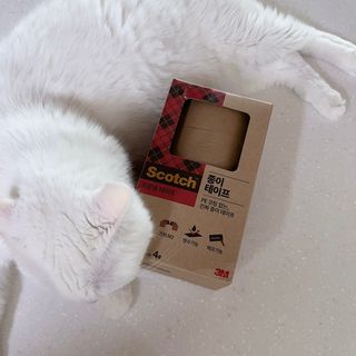 jyerin님이 올린 리뷰 사진 2