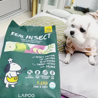 [푸디웜] 라포그  리얼인섹트 웨이트밸런스 저알러지 강아지 사료  1.2KG — 5점을 준 리뷰어가 2022년 6월 올린 사용 사진