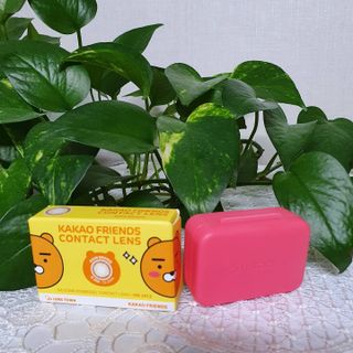 JAYDEN님이 올린 리뷰 사진 3